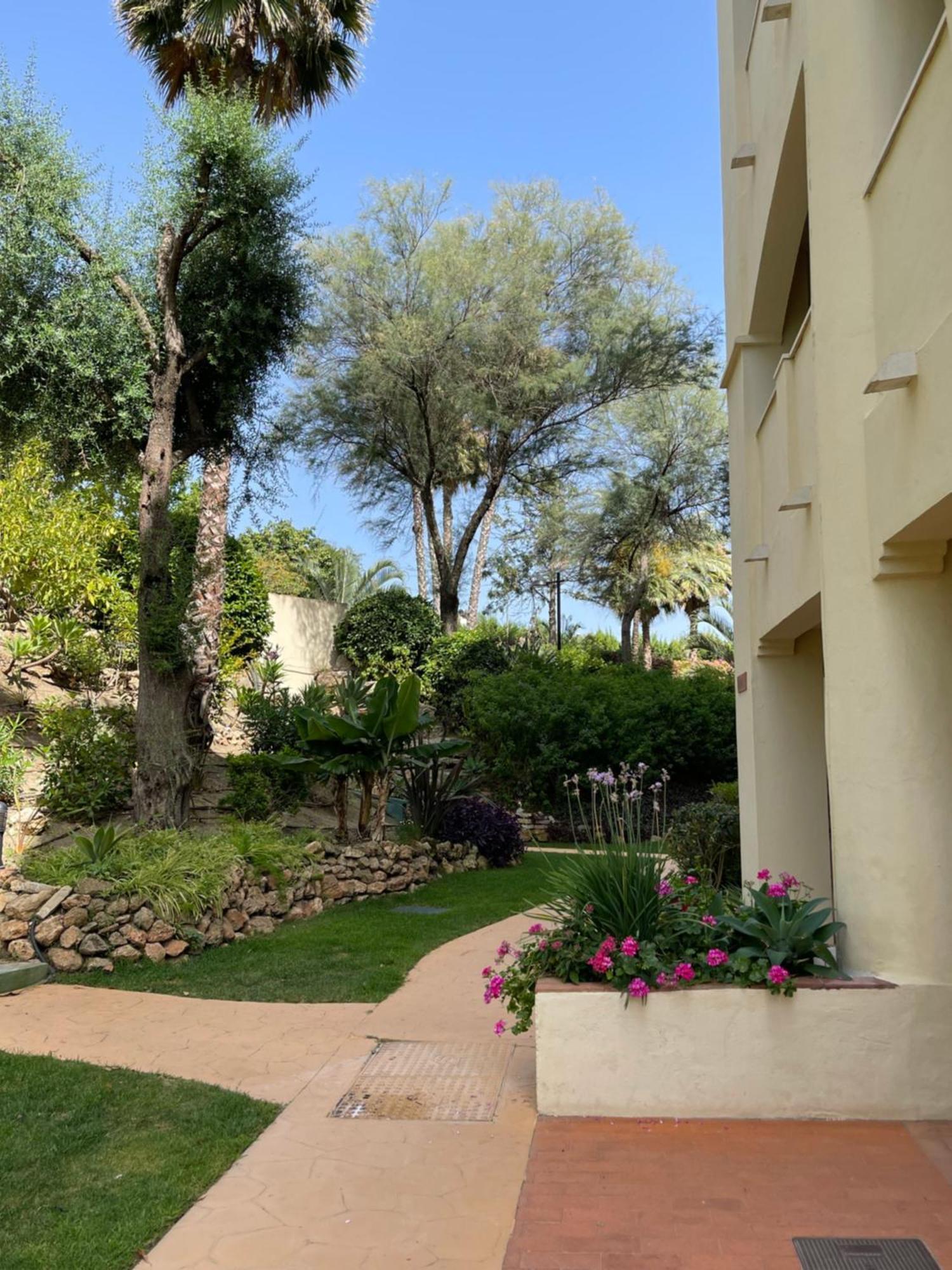 Casa De Loros Marbella